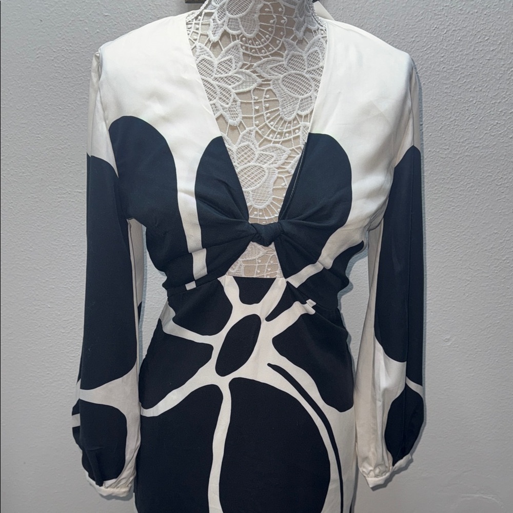 Rafaella Cala de la Cruz Chic Monochrome Long Sleeve Dress - Picture 3 of 11